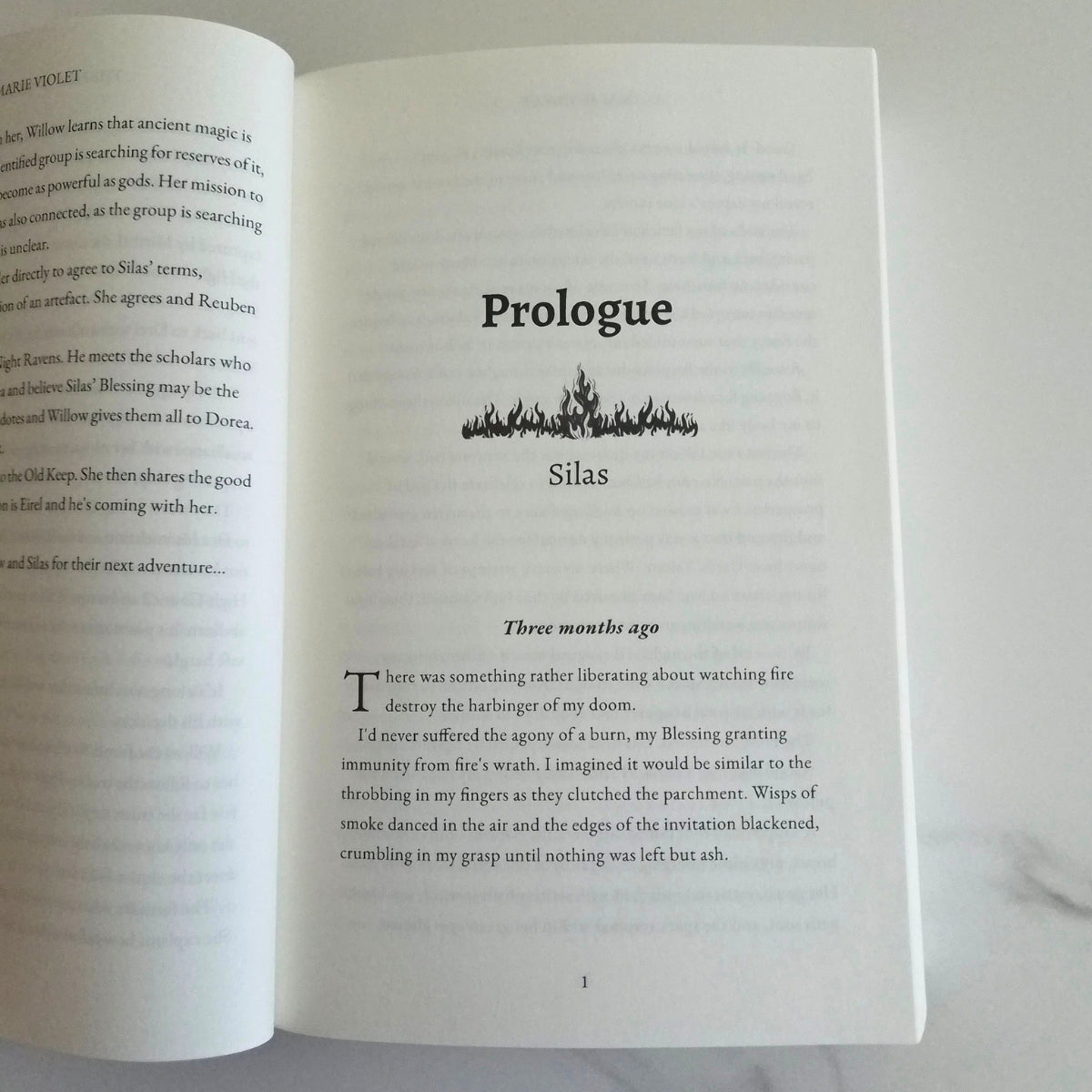 The Heir & The Promise - Signed Paperback